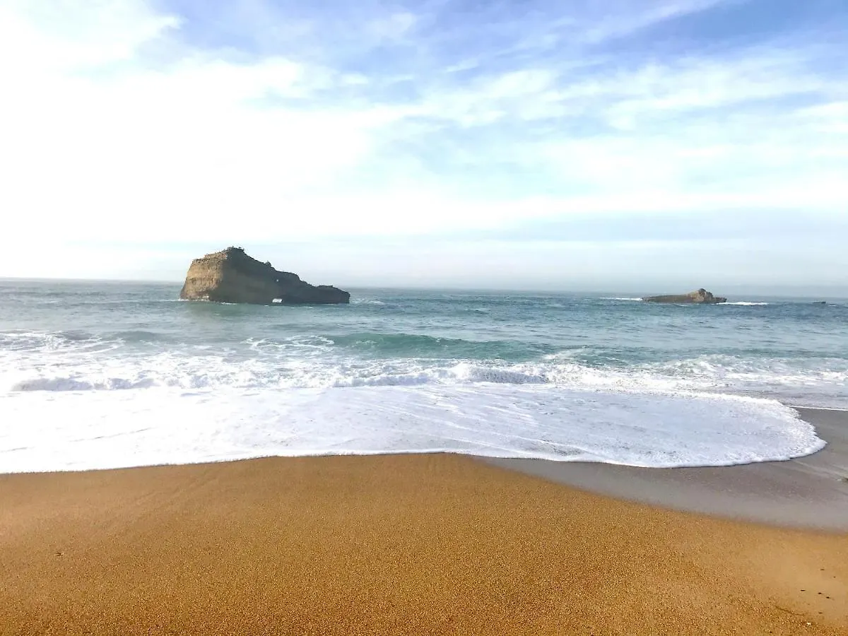 Cosy Appartement 4 Pers A 200 M Plage Et Commerce La Cabane64 0*, Biarritz France